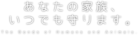 あなたの家族、いつでも守ります。